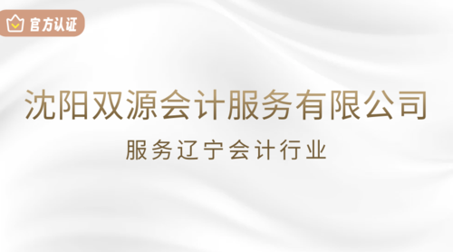 沈阳双源会计服务有限公司.png