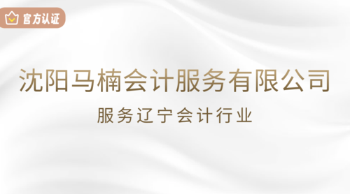 沈阳马楠会计服务有限公司.png